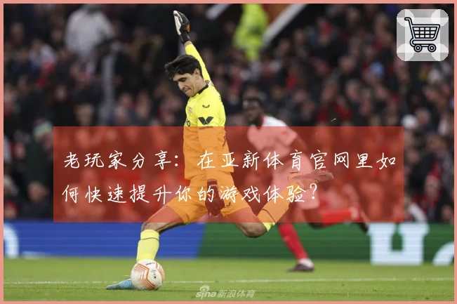 老玩家分享：在亚新体育官网里如何快速提升你的游戏体验？